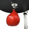 Heavy Duty Free Standing Speed Bag