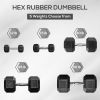 40 Pound Dumbbell Set