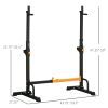 Adjustable Squat Rack & Dip Station