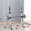 Heavy Squat & Bench Press Rack