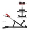 45 Degree Back Extension Machine